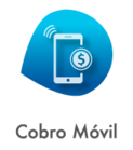 Cobros Bisnet