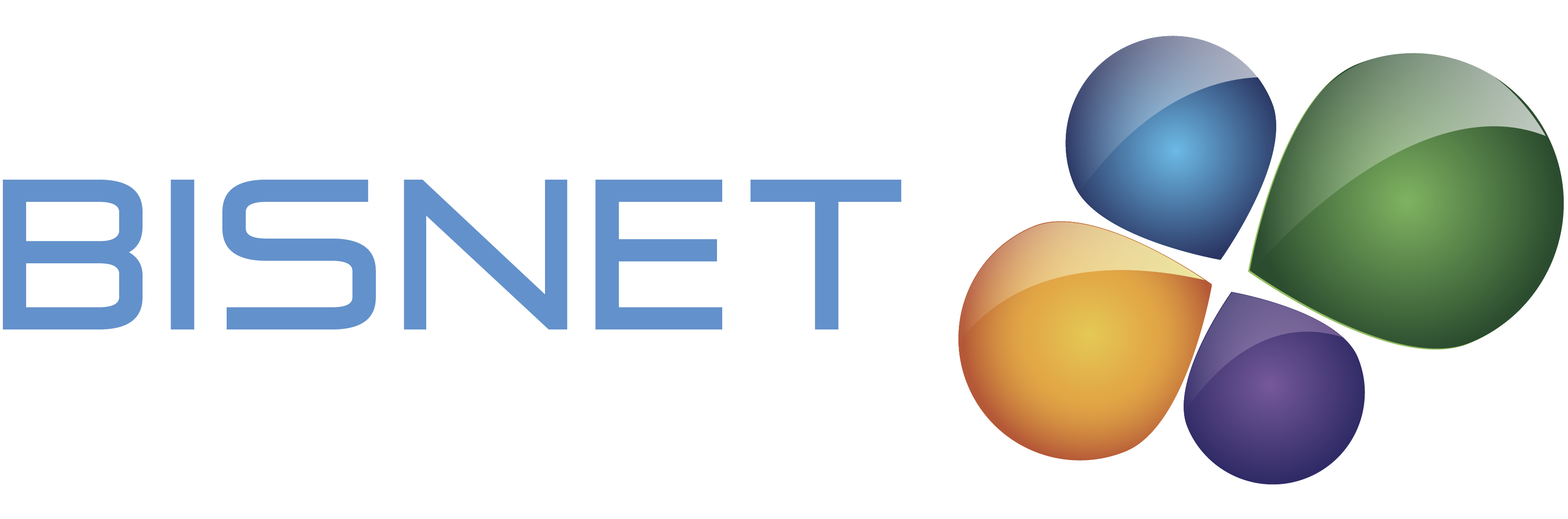 Bisnet